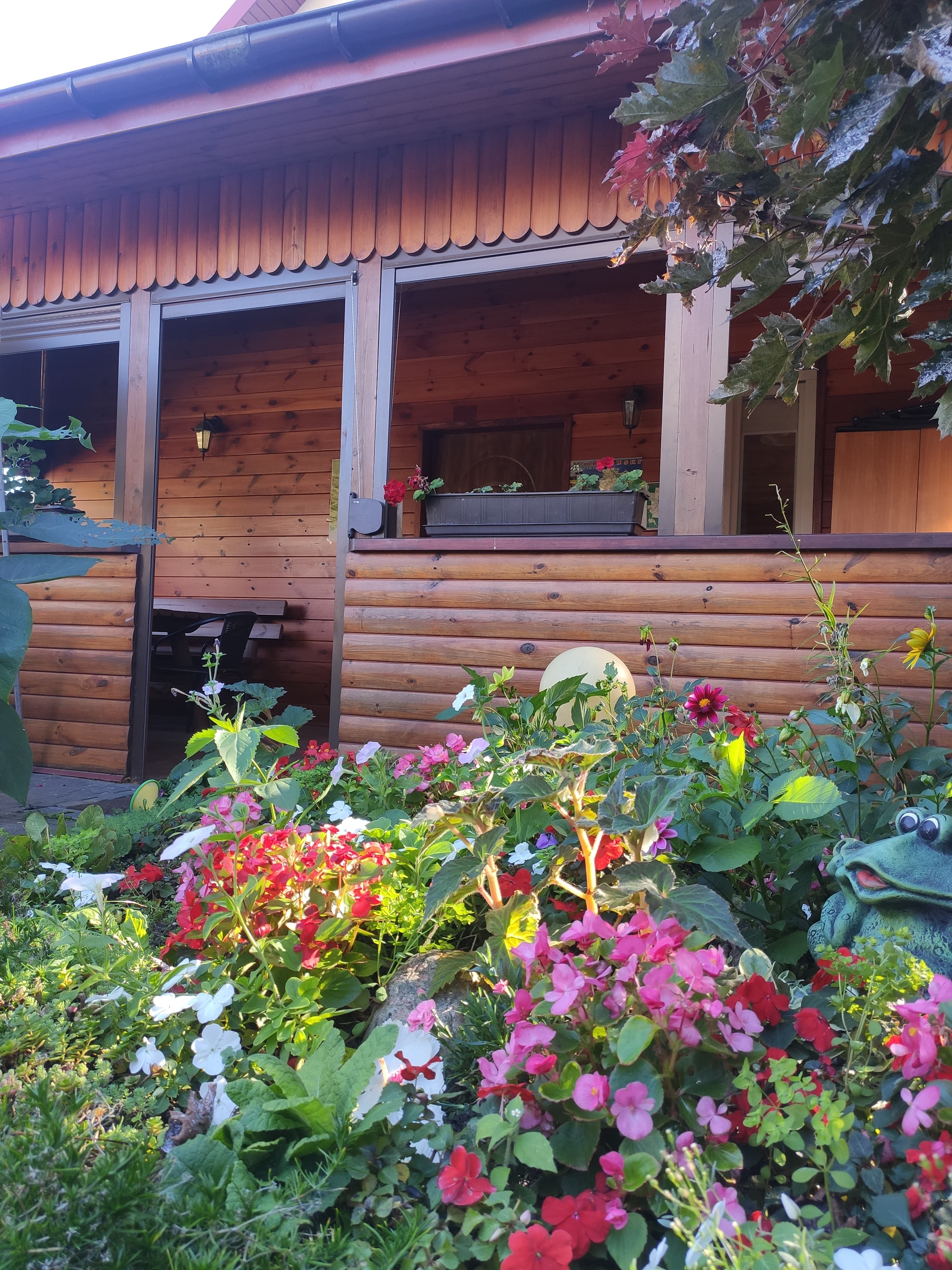 Kolorowe kwiaty w ogrodzie agroturystyki