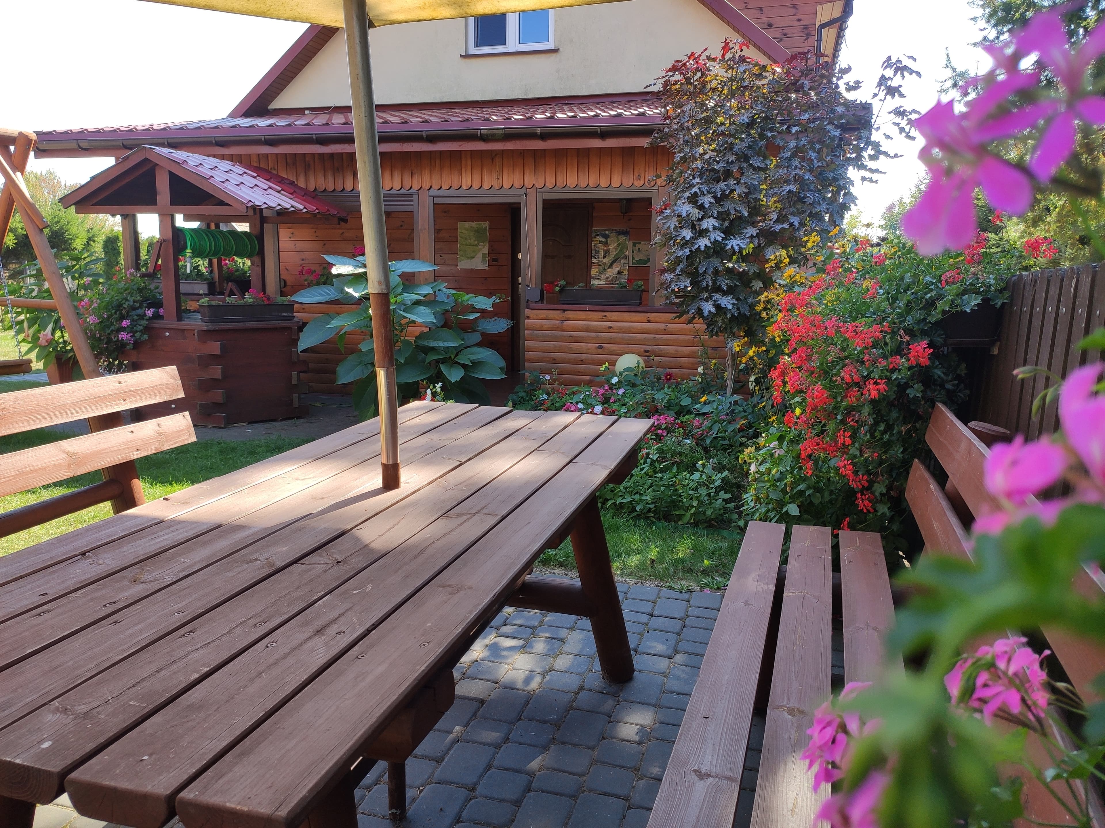 Strefa relaksu z hamakami w ogrodzie